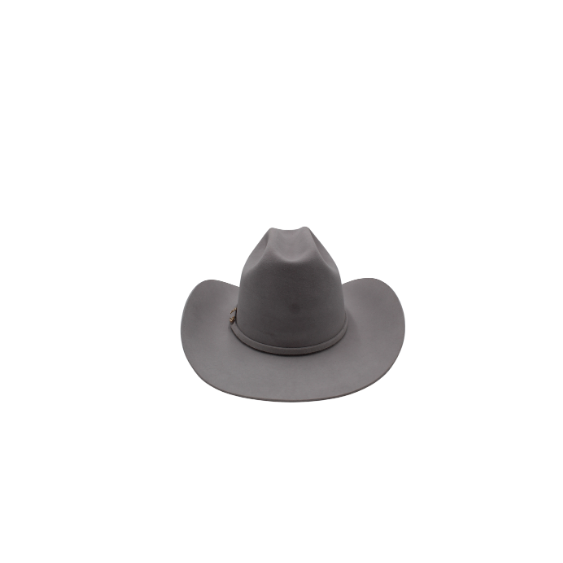 Sombrero de Pelo de Castor