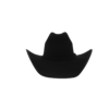 Sombrero de Pelo de Nutria