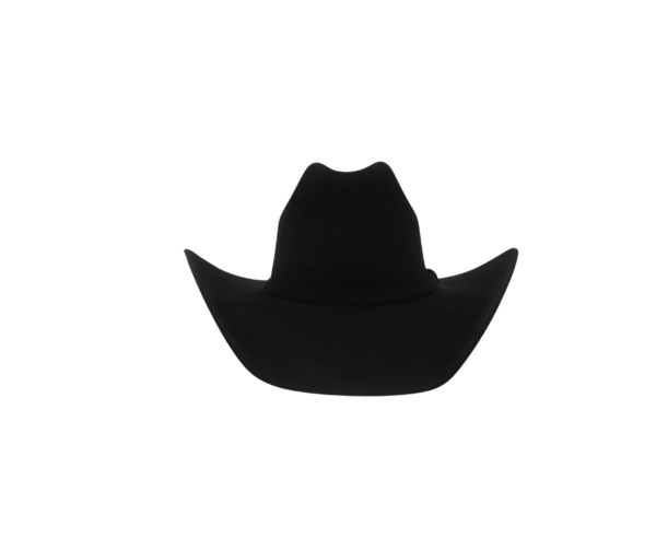 Sombrero de Pelo de Nutria