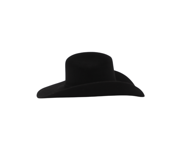 Sombrero de Pelo de Nutria