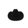 Sombrero de Pelo de Nutria