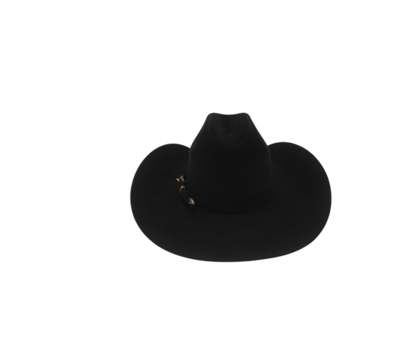 Sombrero de Pelo de Nutria
