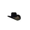 311 Sombrero Bordado de Seda