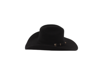 Sombrero de Pelo de Nutria