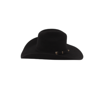Sombrero de Pelo de Nutria