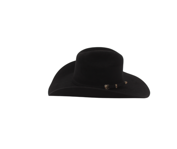 Sombrero de Pelo de Nutria