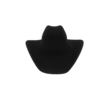 Sombrero de Pelo de Nutria
