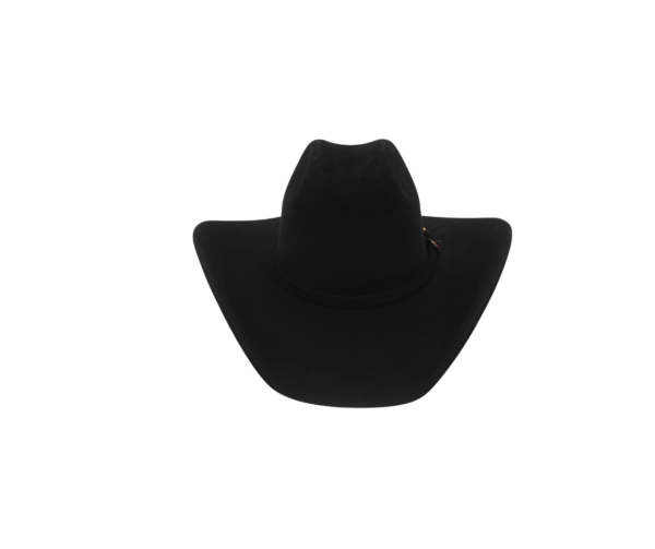 Sombrero de Pelo de Nutria